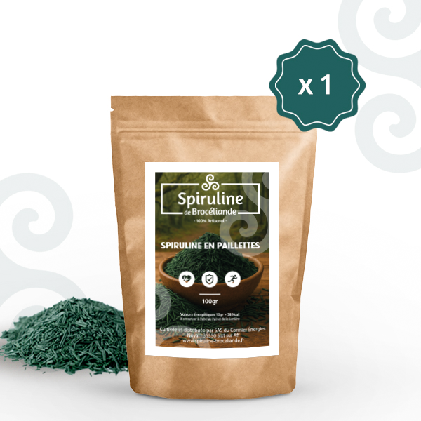 Sachet spiruline en paillettes 100g